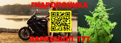 дмт Бузулук