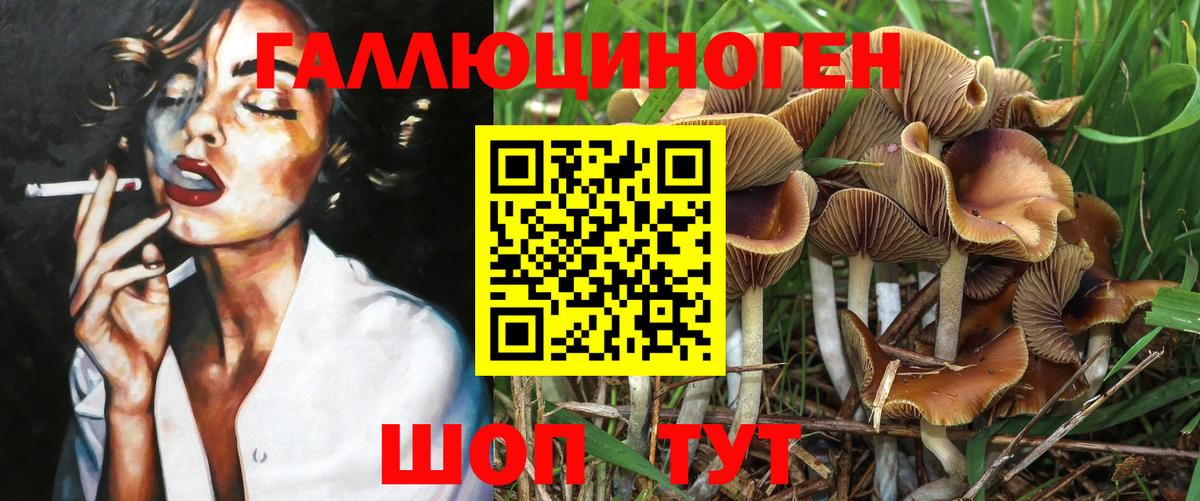 Рубцовск  Псилоцибиновые грибы Cubensis  Вход с VPN  Галлюциногенные грибы GOLDEN TEACHER 